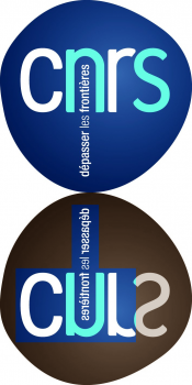 Le logo CNRS et son cul